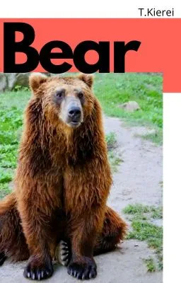 Cover of Bear-(mxm rever series 2) 