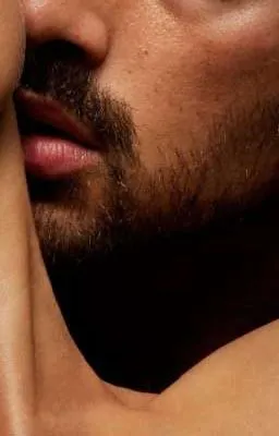 Cover of Callboy