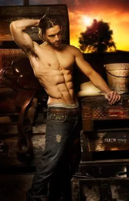 Cover of Captive Romance