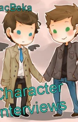 Cover of Character Interviews