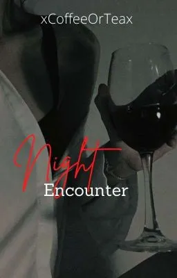 Cover of Night Encounter COMPLETED