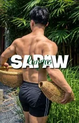 Cover of SAPAW