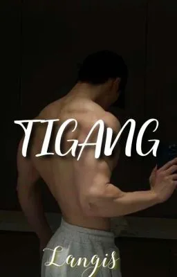 Cover of TIGANG