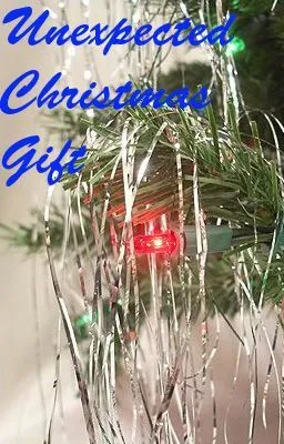 Cover of Unexpected Christmas Gift (BoyxBoy)