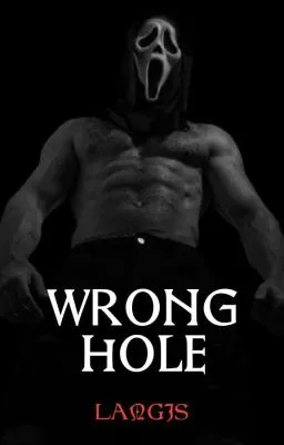Cover of WRONG HOLE